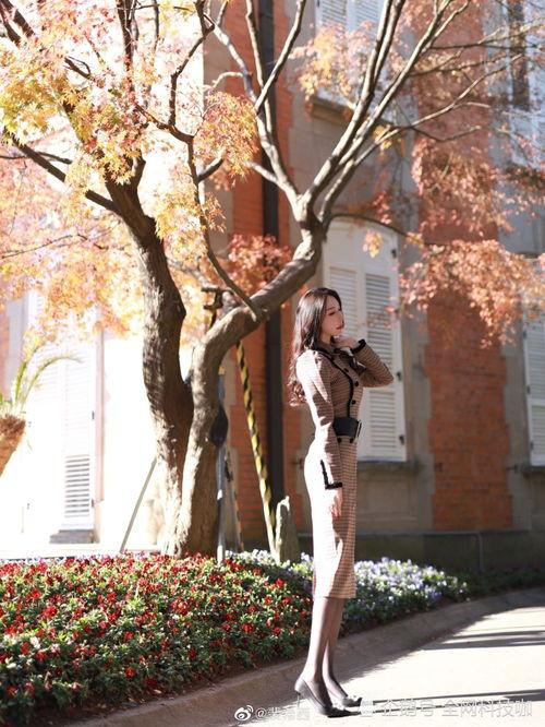 玫瑰藏进晚风里